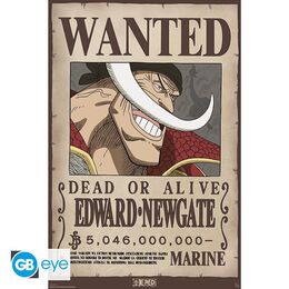 One Piece: Poster 91.5x61 - Wanted Whitebeard