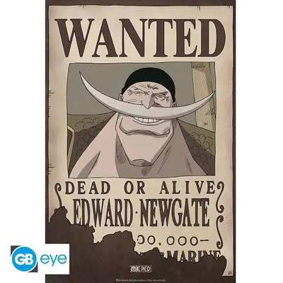 One Piece: Poster 52x35 - Wanted Whitebeard