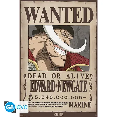 One Piece: Poster 91.5x61 - Wanted Whitebeard