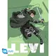 Attack on Titan: 2 Poster Set - Levi & Mikasa Ackerman (52x38cm)