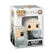 Funko Pop! Netflix: The Witcher - Geralt #1317